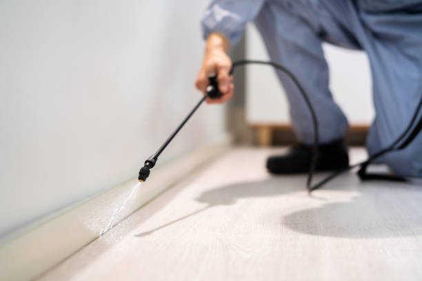 Bed Bug Pre-Treatment Preparation Assessment in Sewell