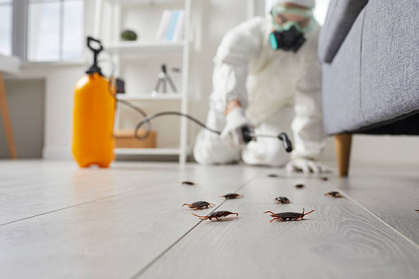 Post-Treatment Bed Bug Interceptor Monitoring in Sewell
